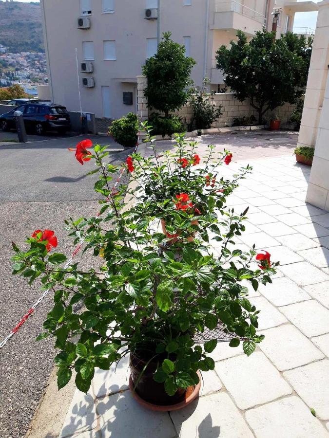 Apartments Pojko Dubrovnik Luaran gambar
